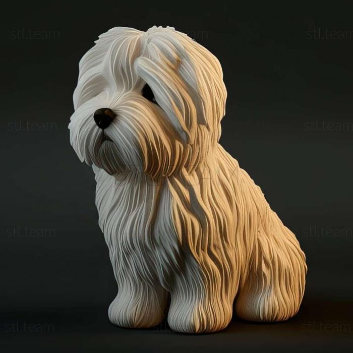 3D model Coton de tulear dog (STL)